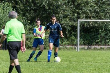Bild 135 - B-Juniorinnen VfL Pinneberg - HSV : Ergebnis: 1:4